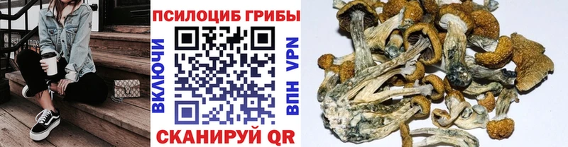 купить  цена  Петров Вал  Псилоцибиновые грибы GOLDEN TEACHER 